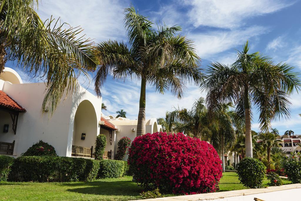 Курортний комплекс Movenpick Sheikh 5*