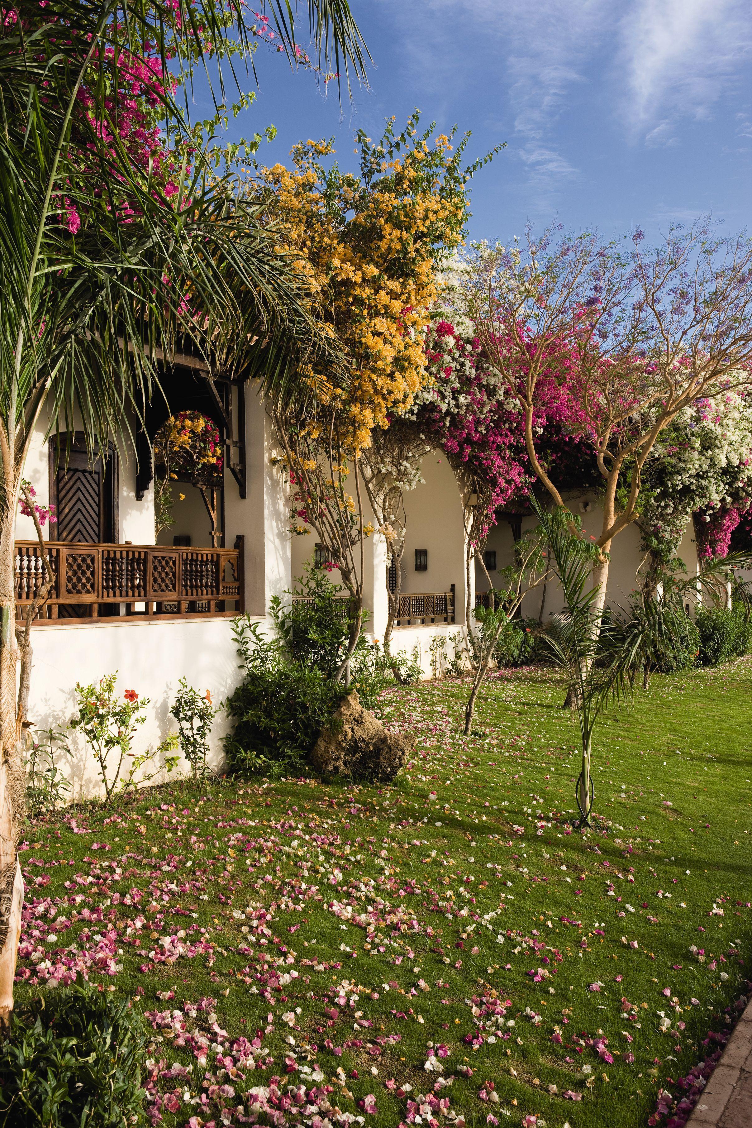 Movenpick Sheikh 5* Charm el-Cheikh