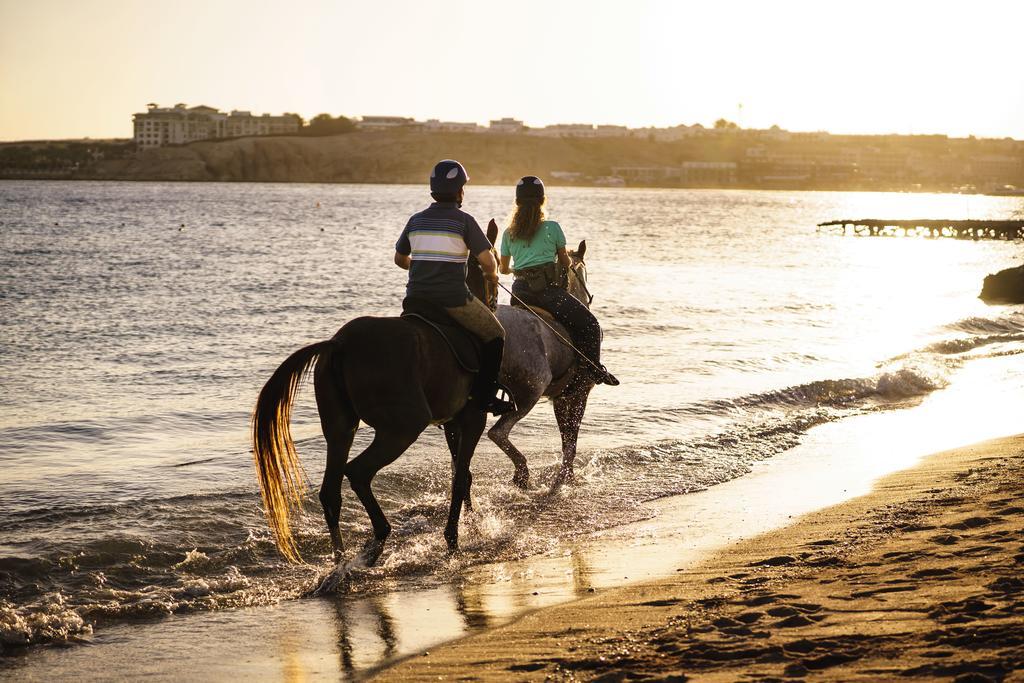 Movenpick Sheikh Station touristique